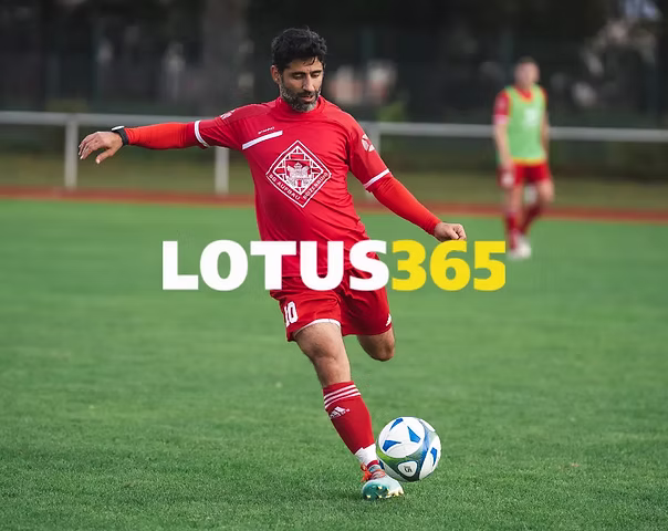 lotuss 365 book